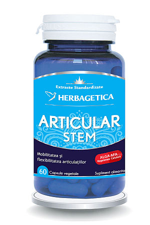 Articular Stem, Herbagetica