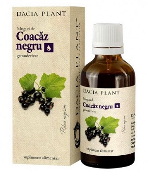 Coacaz negru muguri Gemoderivat, 50 ml, Dacia Plant