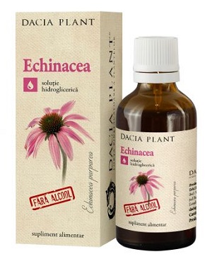 Echinacea fara alcool, 50 ml, Dacia Plant
