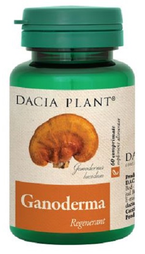 Ganoderma, 60 comprimate, Dacia Plant