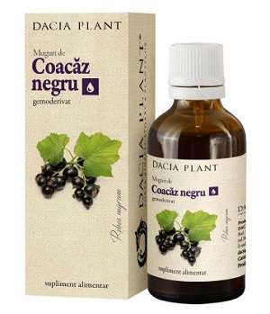 Muguri de Coacaz Negru, 50 ml, Dacia Plant