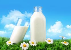 Elcomex Agroindustrial lanseaza o gama de produse din lapte de capra, 100% naturale!