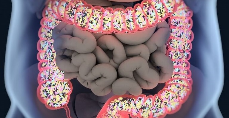 Probioticele si microbiota: de ce sunt atat de importante si cum ne influenteaza viata?