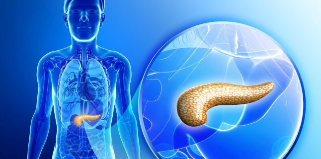 legatura dintre ficat si pancreas agenți antiparazitari eficienți pentru tratarea oamenilor
