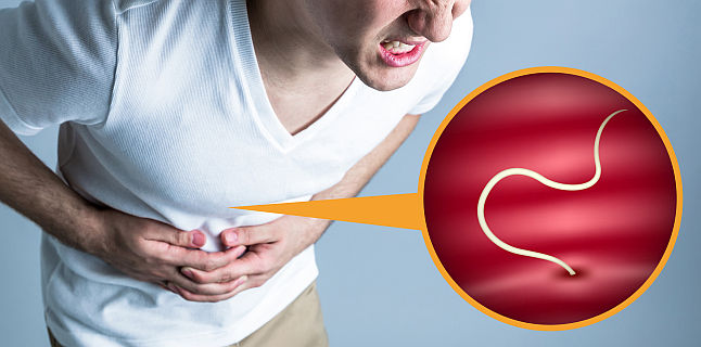 Parazitozele intestinale: giardioza si ascaridioza | monapainting.ro