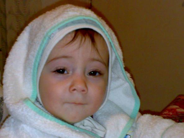 ALEX