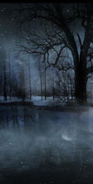 dark winter