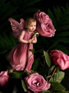 rose