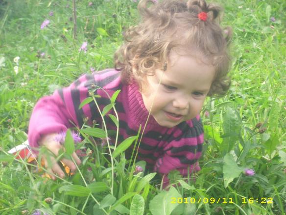 In natura !