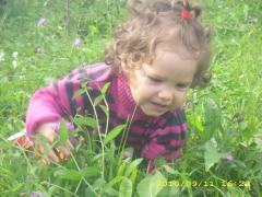 In natura !