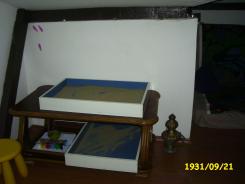 trays