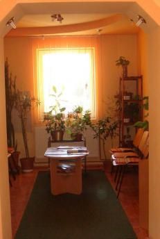 Cabinet Individual de Psihologie Schiffer Ingrid, Timisoara