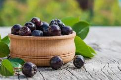 Aronia