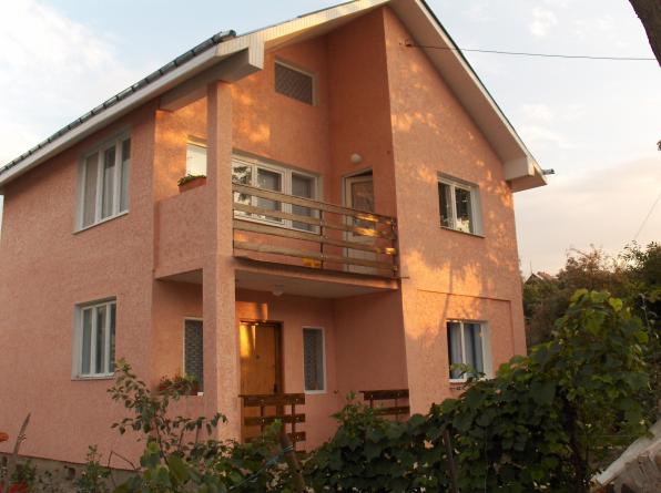 casa facuta din chirpici cu stalpi din beton in Pascani